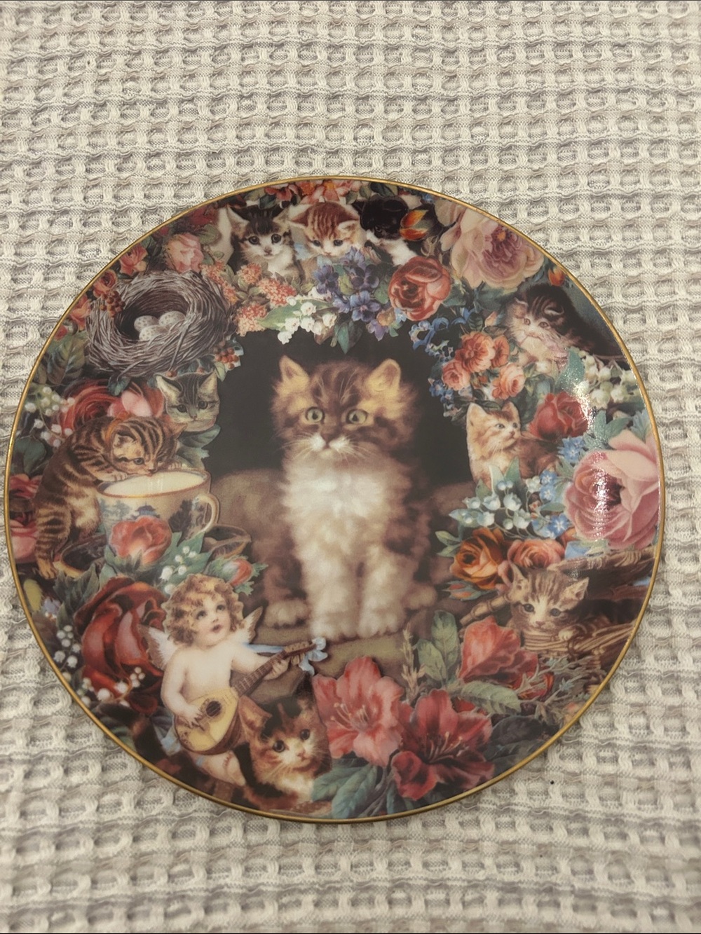 Danbury Mint Floral Kitten Collector Plate with Gold Trim